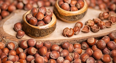 Fındık Fiyatlarında Artış Devam Ediyor