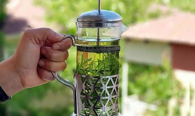 Kekik suyu faydaları nelerdir, nasıl kullanılır? Damıtılmış kekik suyu nasıl tüketilir?