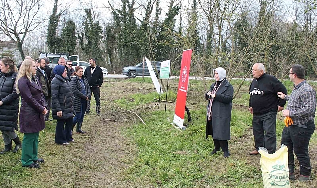 Örnek fındık bahçeleri oluşturuluyor