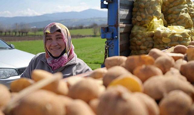 Patates Üretim Bölgesi'nde Çiftçiler Ekim Sezonunda Yoğun Mesai Harcıyor.