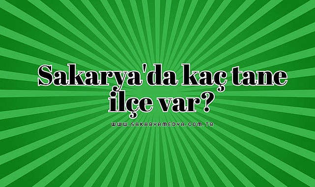 Sakarya'da kaç tane ilçe var?