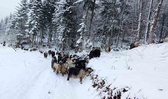 Sakarya'nın Yüksek Kesimleri Kara Büründü