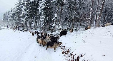 Sakarya'nın Yüksek Kesimleri Kara Büründü