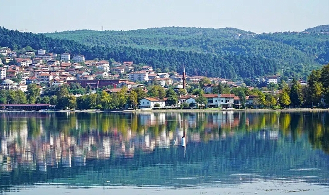 Sapanca'da Bungalov Yangını: İtfaiye Havuz Suyunu Kullanarak Müdahale Etti!