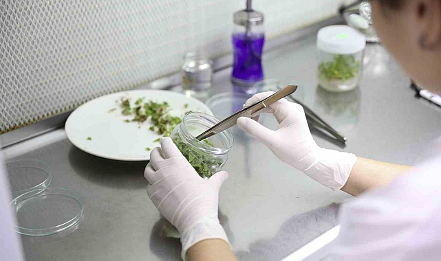 SUBÜ Öğrenci Projelerine TÜBİTAK'tan Destek: 145 Proje Onaylandı!
