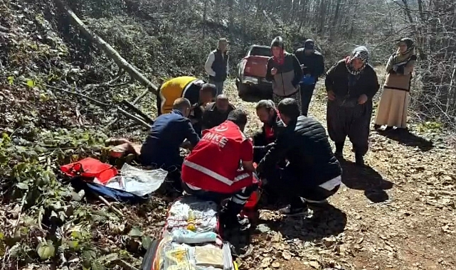 Yaylada Kaldırık Otu Toplamaya Giden Kişi, Kırılan Bacakla Mahsur Kaldı
