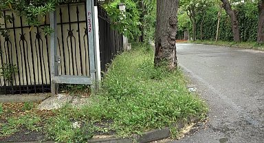 Adalar, Çöpler ve Otlarla Kaplı: Temizlik Sorunu Gündemde
