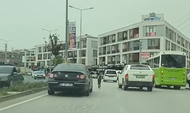 Başıboş Taylar Trafikte Kaosa Yol Açtı