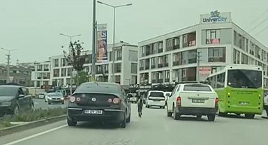 Başıboş Taylar Trafikte Kaosa Yol Açtı