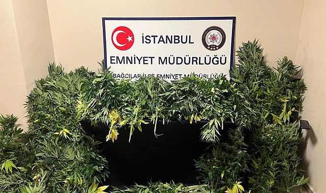Burası bir villa değil, bir uyuşturucu serası.