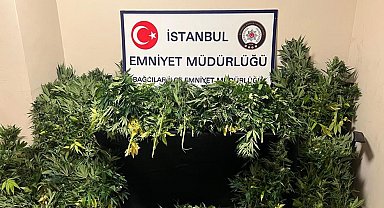 Burası bir villa değil, bir uyuşturucu serası.