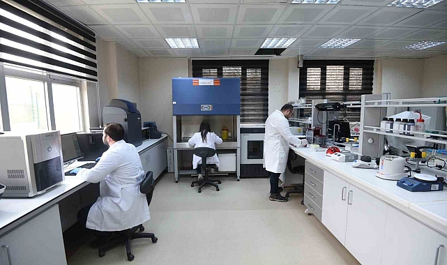 Düzce Üniversitesi Bilimsel Araştırma imkanı sunuyor