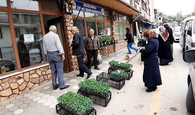 Havalar ısındı fidelerin ekim zamanı geldi