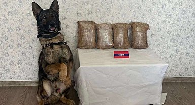 Otobüs yolculuğunda uyuşturucu kaçakçısı suçüstü yakalandı