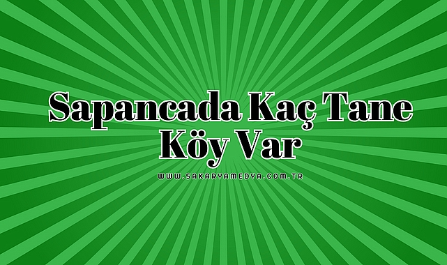 Sapanca'nın kaç köyü var?