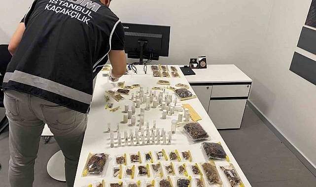 ABD'li Müze Müdürü İstanbul Havalimanı'nda Tarantula ve Akrep Kaçakçılığı Yaparken Yakalandı