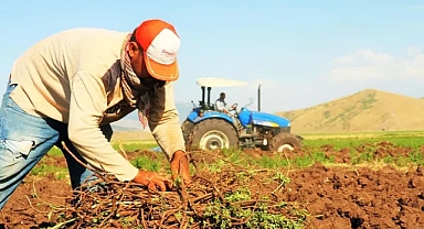 Çiftçilere Tarım Bakanlığından 7 Farklı Alanda 445 Milyon Lira Destek Ödemesi