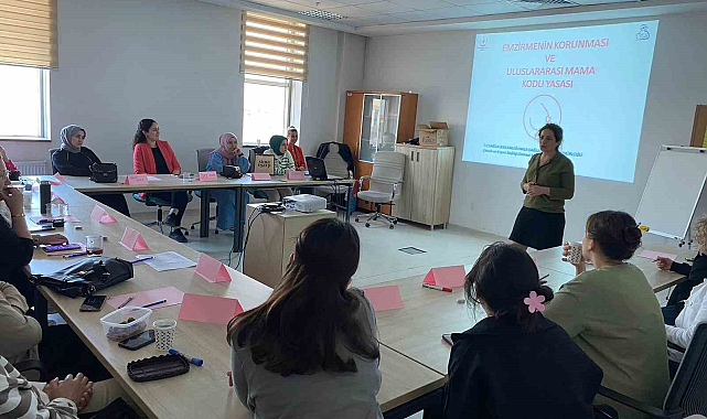 Düzce'de Sağlıkçılara anne sütü ve emzirme danışmanlığı eğitimi