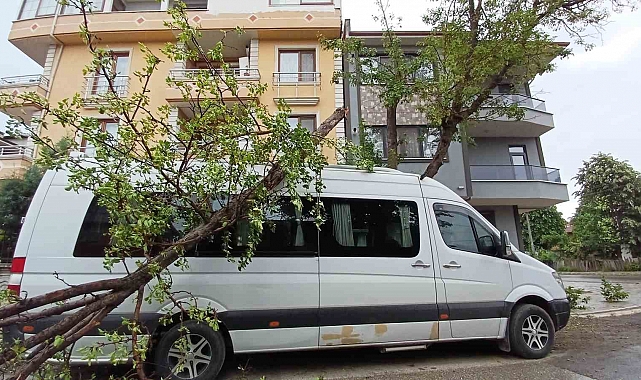 Fırtına, Ağaçları Devirerek 2 Aracı Altına Aldı