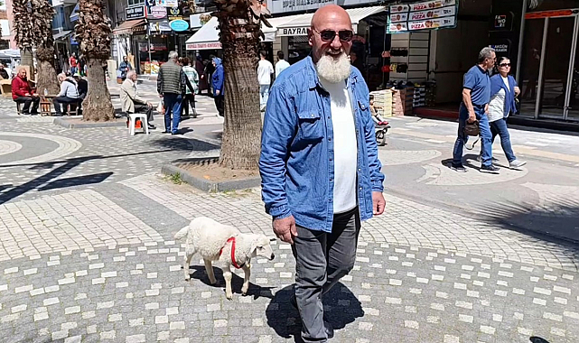 Karasu'da İki aylık kuzusu peşinden hiç ayrılmıyor