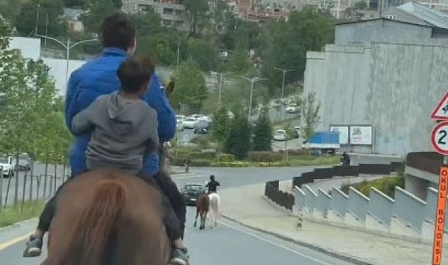 Trafikte İlginç Manzara: At Sürüsü Caddede Gezinti Yaptı