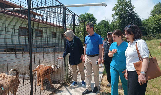 CHP Heyeti: Hayvan Konukevine Tam Not