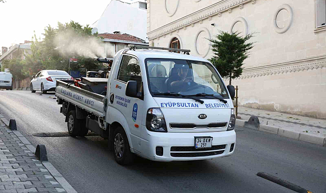 Eyüp'te Sivrisinek İlaçlama Faaliyetleri Devam Ediyor