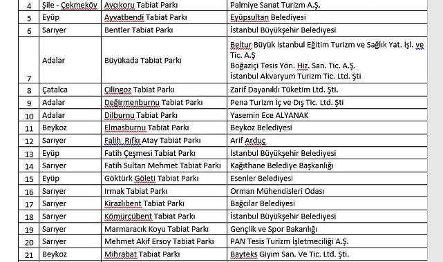 İstanbul Valiliği, Orman Yangınlarına Karşı Alınan Tedbirleri Açıkladı