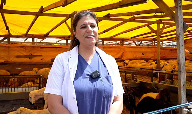 Kurbanlık Seçerken Göz Önünde Bulundurulması Gereken 9 Husus