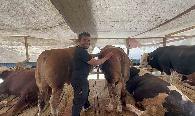 Pazarlık Sonucu Oluşan Durum, Rüyasına Girdi