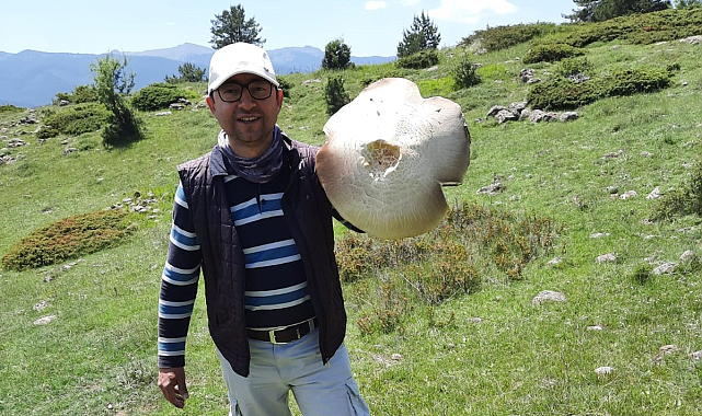 Tepsi Boyutundaki Kırmızı Mantar, Görenleri Şaşırttı