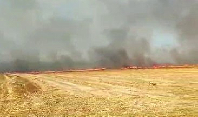 Silivri'de otluk alanda çıkan yangın büyük paniğe neden oldu