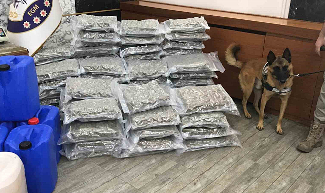 İstanbul'da Uyuşturucu Operasyonu: 500 Kilo Narkotik Madde Ele Geçirildi