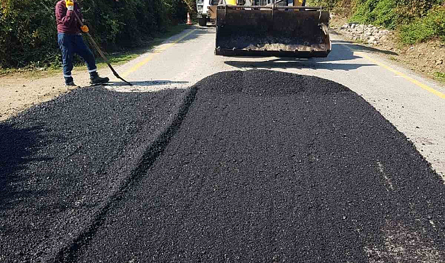 Karadere Hasanağa Köyünde Yol Bakım Çalışmaları: Düzce İl Özel İdaresi Ekipleri Görevde