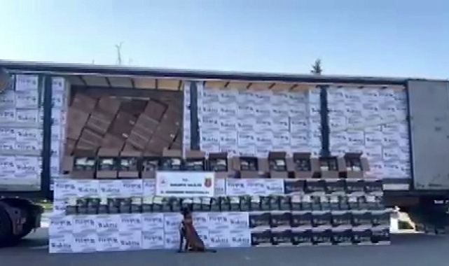 Değeri 15 milyon: Adana'dan, Sakarya'ya getirilirken yakalandı
