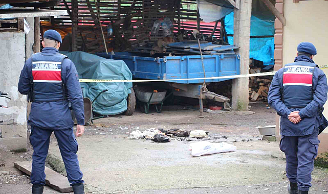 Annesinin horozları komşuya verdiğini duyunca tüfekle dehşet saçtı