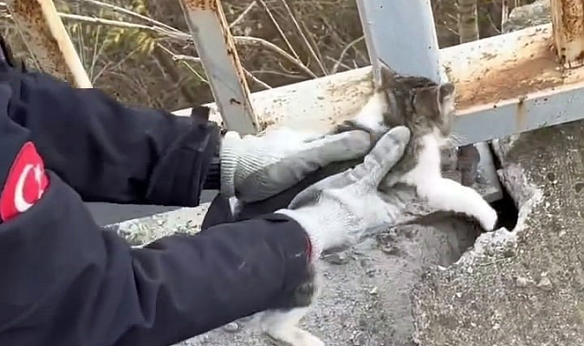 Köprü korkuluğunun altına sıkışan yavru kedinin imdadına itfaiye yetişti