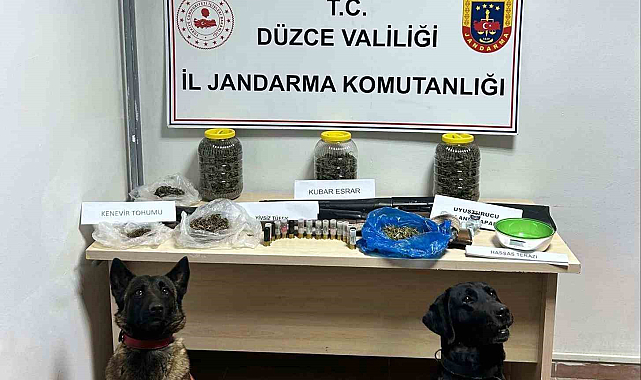 Jandarmadan uyuşturucuya geçit yok