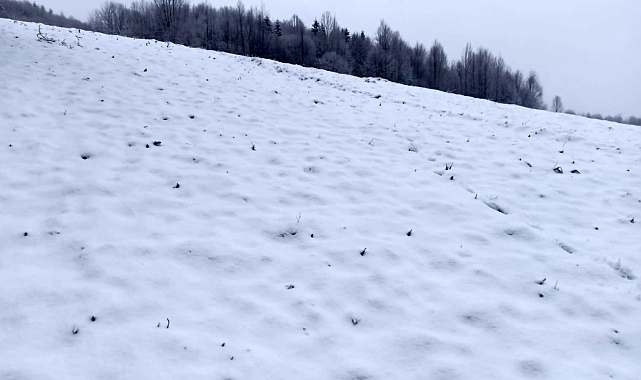 Sakarya'da Kış Kendini Gösterdi: Dikmen Yaylası Beyaza Büründü
