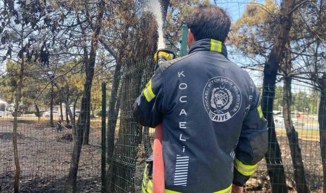 Kocaeli'de ağaçlık alanda yangın çıktı, 4 kişi dumandan etkilendi