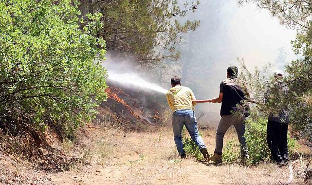 Sakarya'daki orman yangınına 700 personel, 200 araç ve 11 helikopter müdahale ediyor