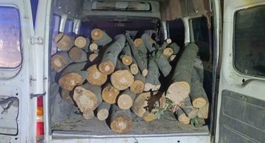 1 ton kaçak orman ürünü ele geçirildi