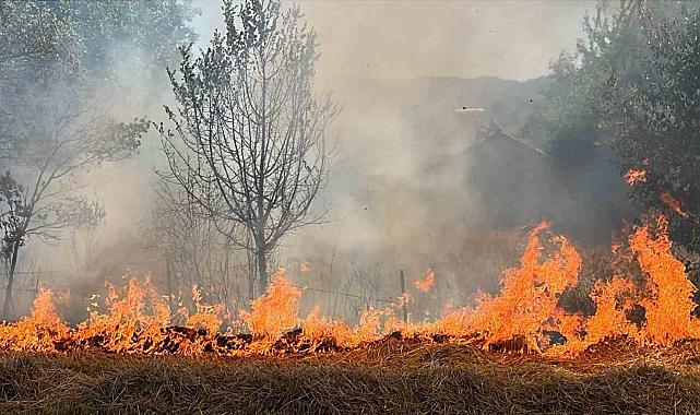Bolu'da Faciadan Dönüldü: Alevler Evlerin Dibine Kadar Uaştı