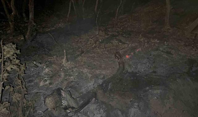 Gebze'de 7 Dönüm Kül Oldu