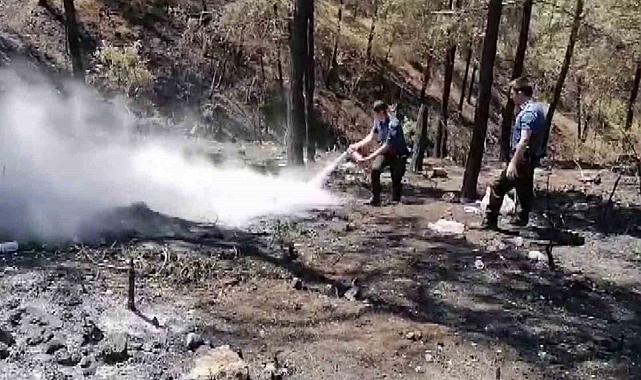 Geyve'de 5 gün sonra aynı nokta yeniden alevlendi: Yangına ilk müdahaleyi polisler yaptı