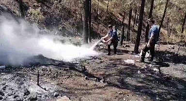 Geyve'de 5 gün sonra aynı nokta yeniden alevlendi: Yangına ilk müdahaleyi polisler yaptı