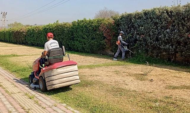 Körfez'de yeşil alanlarda bakım ve çim biçme çalışması