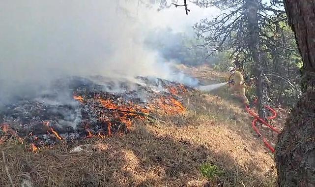 Bolu Göynük'te Orman Yangını Çıktı, Havadan ve Karadan Müdahale Sürüyor