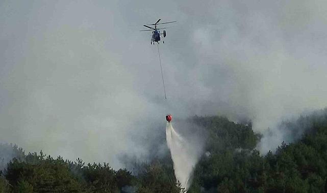 Bolu Mudurnu'da Biçerdöver Kıvılcımları Ormanı Yaktı: 2 Gözaltı