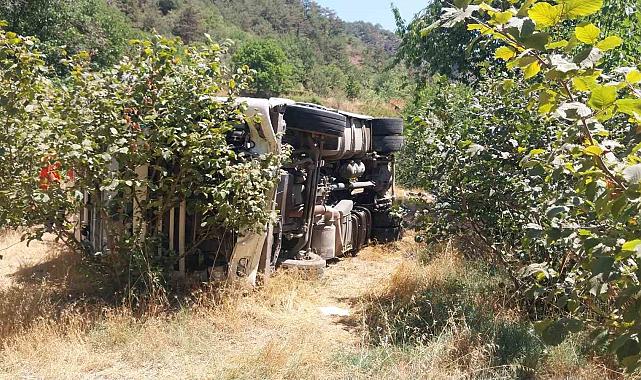 Bolu Mudurnu'da Kontrolden Çıkan Tır Fındık Bahçesine Devrildi: Sürücü Yaralanmadı
